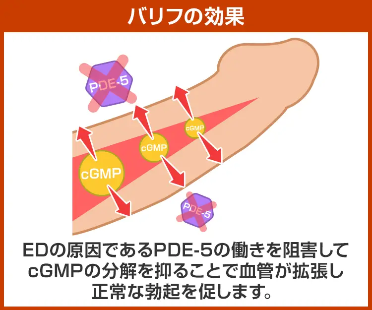 バリフ6