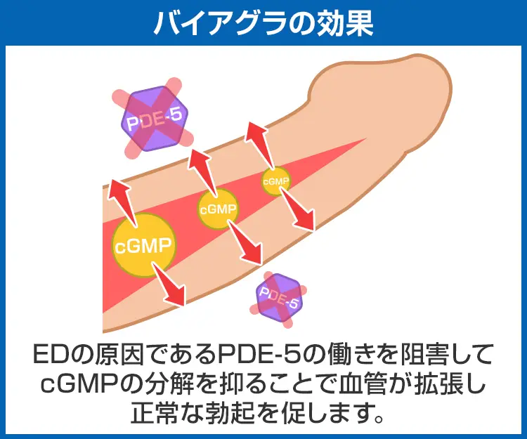 バイアグラ6