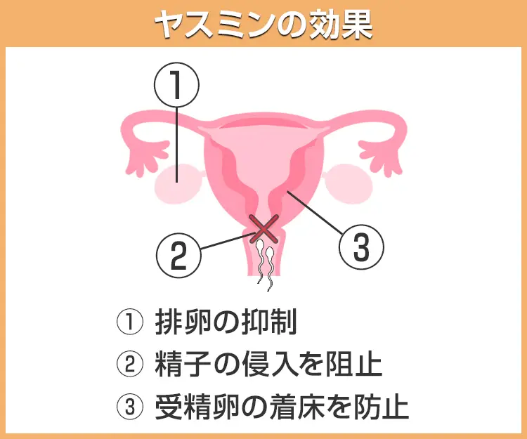 ヤスミン7