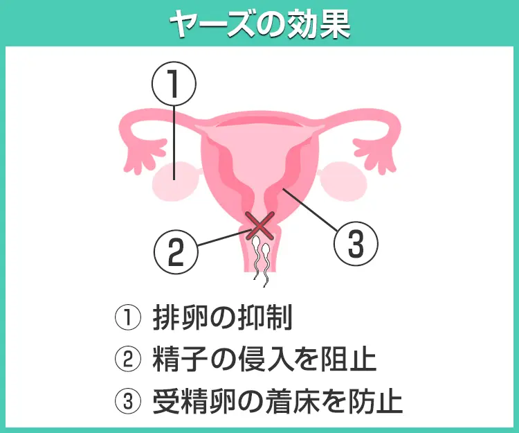ヤーズ7