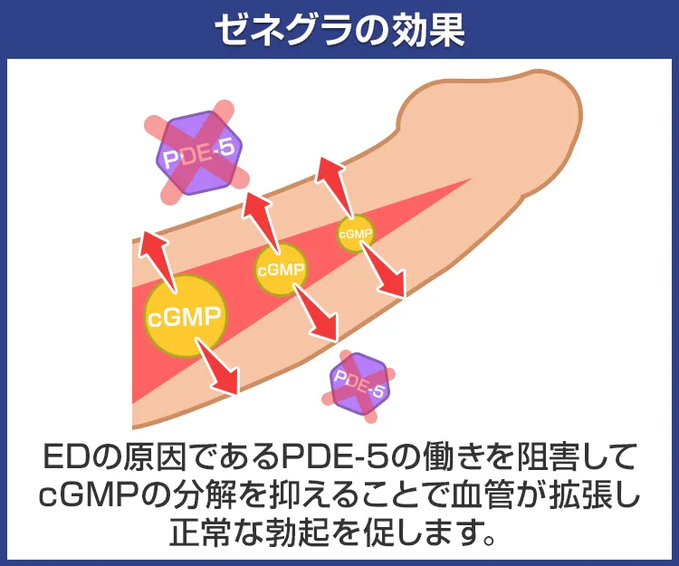 ゼネグラ5