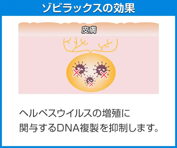 ゾビラックス6